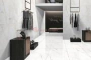 Gạch Ốp Lát APODIO 66181004